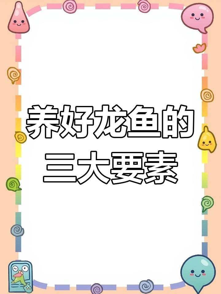 龍魚鱗片特征如何影響價格？