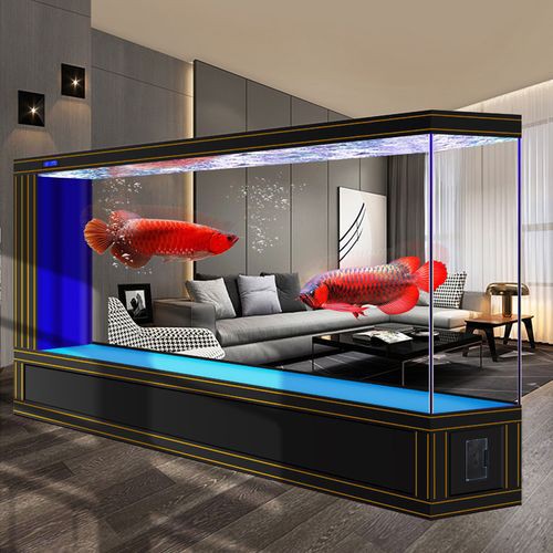 十大龍魚魚缸品牌有哪些 龍魚百科 第10張 十大龍魚魚缸品牌有哪些 十大龍魚魚缸品牌有哪些 龍魚百科 第10張