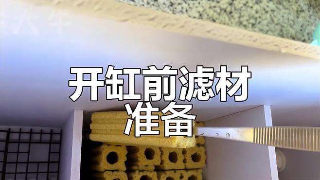 一米二魚缸需要多大的過濾系統(tǒng)？