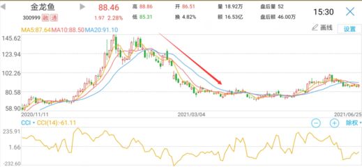 金龍魚背后的資本：揭秘“金龍魚”背后資產過千億的神秘家族