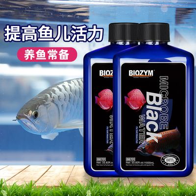 龍魚黑水：龍魚黑水對水質影響如何選擇龍魚黑水自制方法