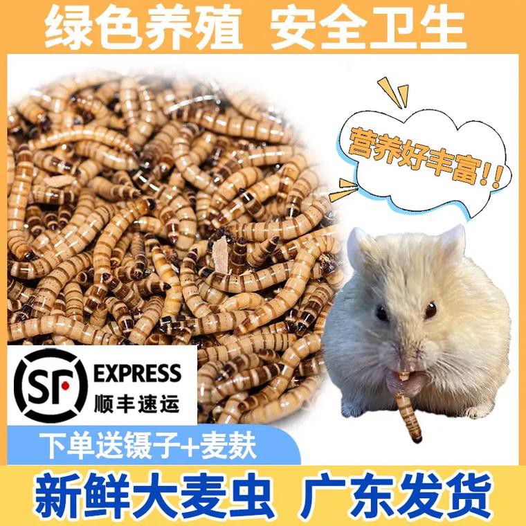 哪些品牌的龍魚發(fā)色飼料好？