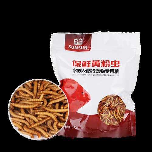 哪些品牌的龍魚發(fā)色飼料好？