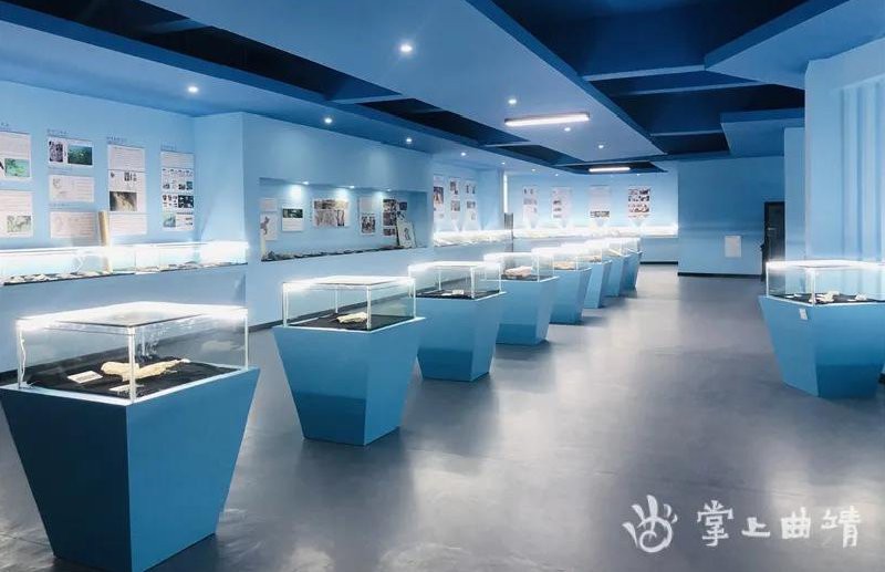 羅平龍魚化石