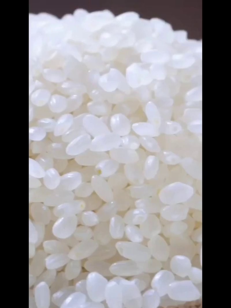 金龍魚清香絲苗米好吃嗎