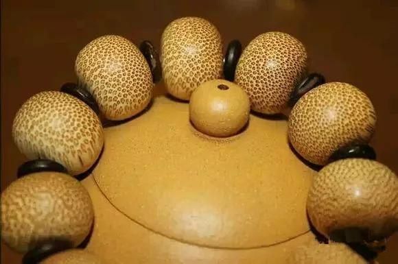 龍魚卵多大：亞洲龍魚的卵直徑大約為2厘米，產卵量不多，