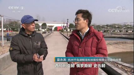 龍魚卵多大：亞洲龍魚的卵直徑大約為2厘米，產卵量不多，