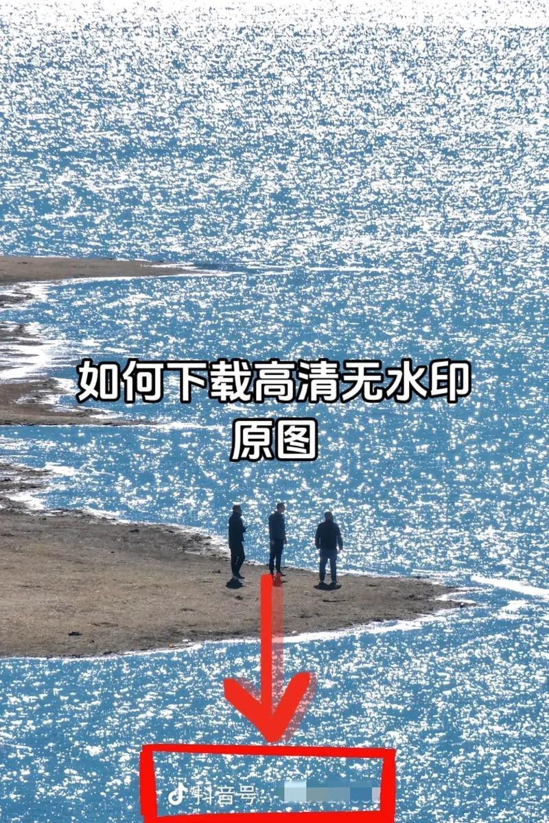 如何下載和使用這些高清圖片？ 如何下載和使用這些高清圖片？ 龍魚百科 第1張