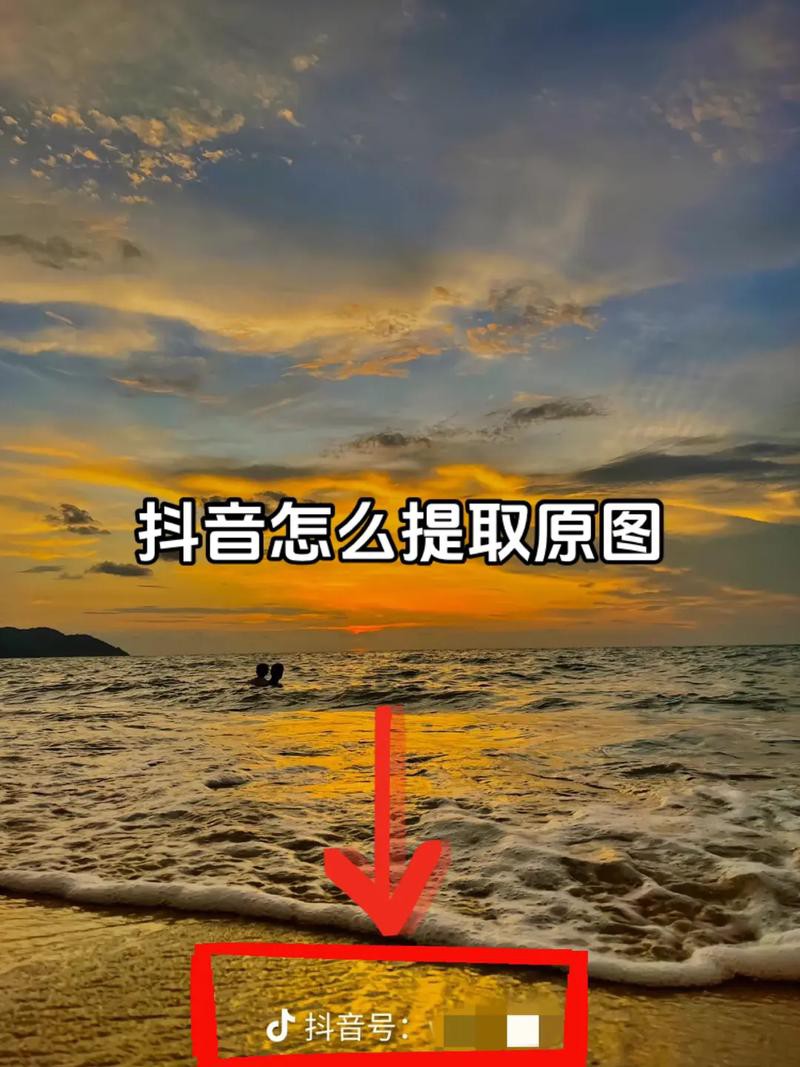 如何下載和使用這些高清圖片？ 如何下載和使用這些高清圖片？ 龍魚百科 第2張