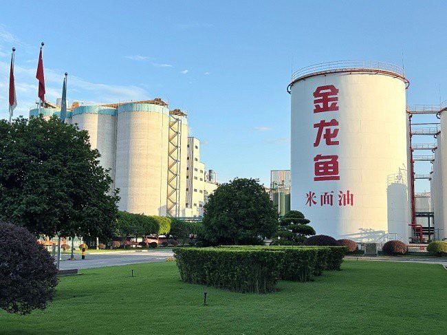 上海金龍魚公司怎么樣啊