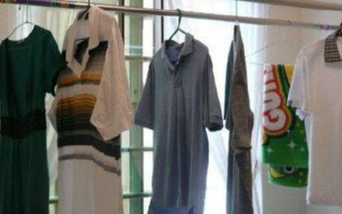 六角恐龍魚能放草缸里養嗎？：六角恐龍魚可以放在草缸中飼養它們對水質的要求并不嚴格