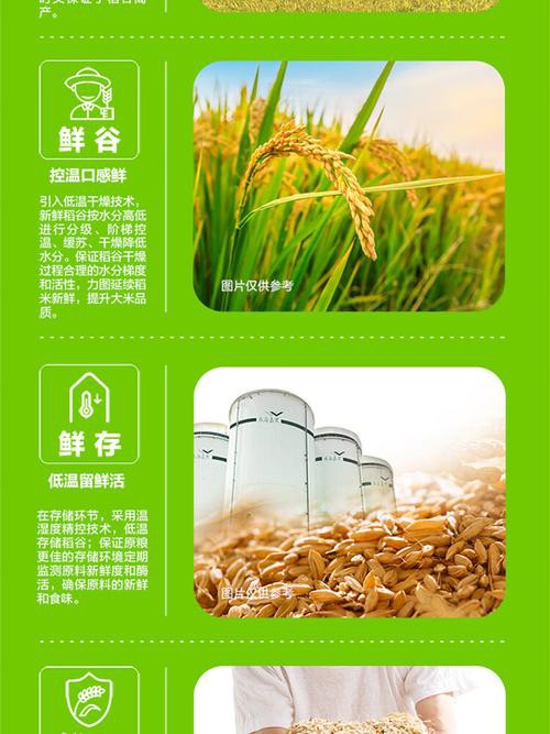 金龍魚(yú)總廠有哪些創(chuàng)新產(chǎn)品？