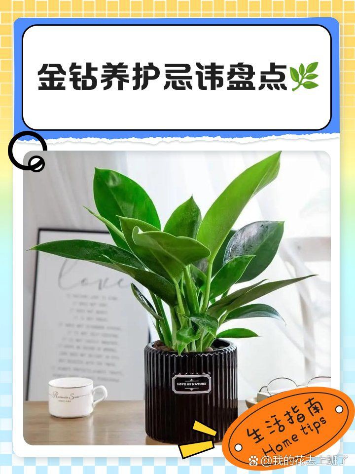 金鉆最忌三種人