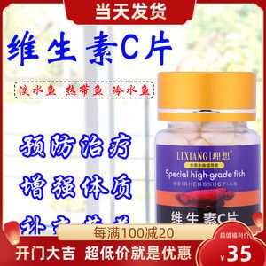 養龍魚定期加維生素C（養龍魚時定期添加維生素c對龍魚的健康有著積極影響）