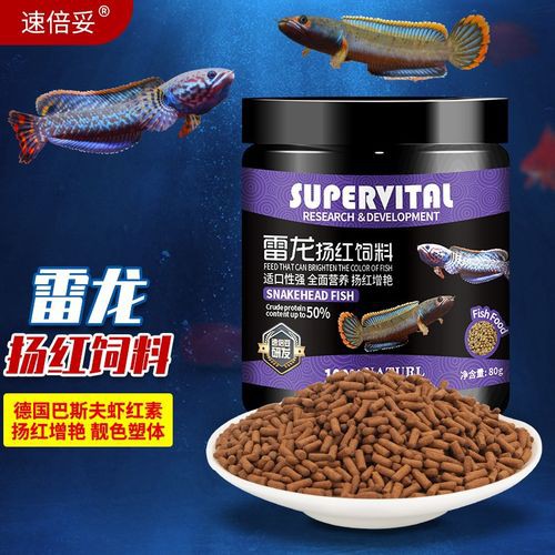 性價比高的雷龍魚飼料品牌有哪些