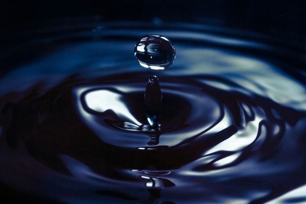 龍魚缸里養(yǎng)什么清潔魚便宜（七彩清道夫魚的食譜有哪些適合與龍魚混養(yǎng)的清潔魚）