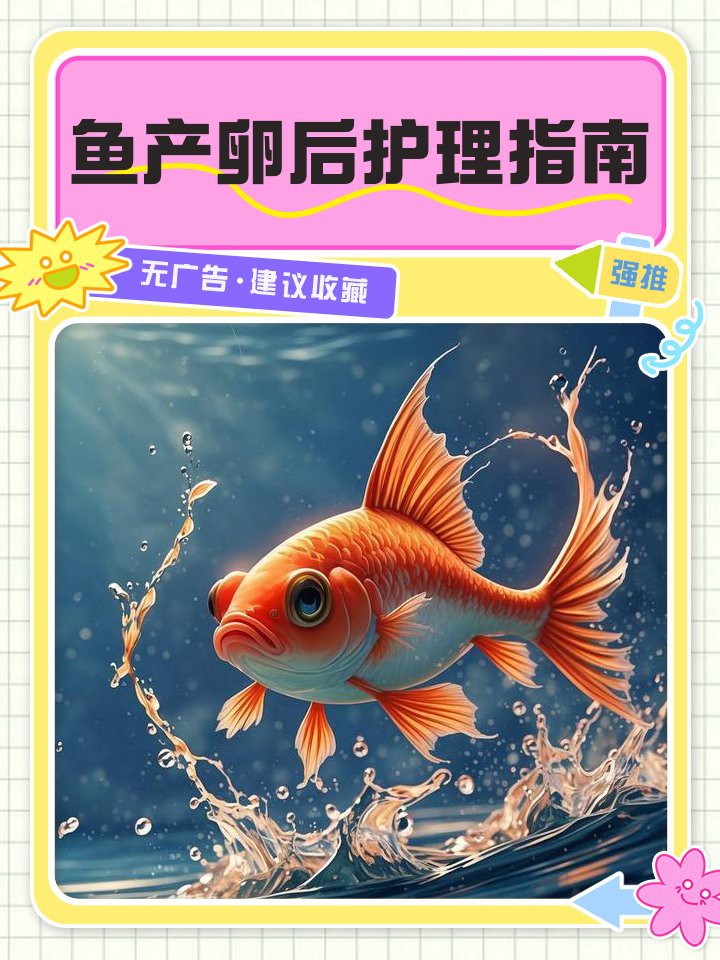 古龍魚繁殖后如何護(hù)理？