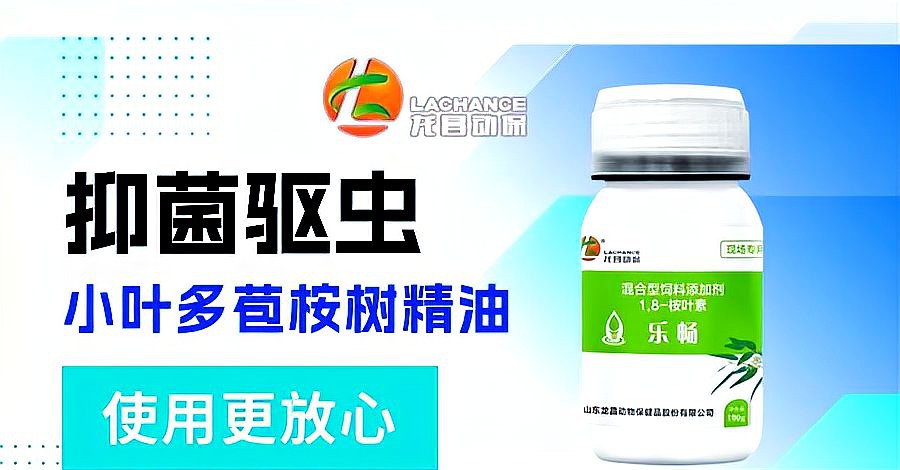如何處理活餌以避免寄生蟲風險？