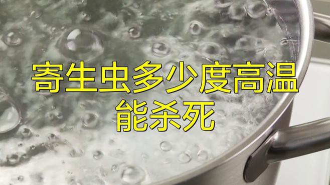 如何處理活餌以避免寄生蟲風險？