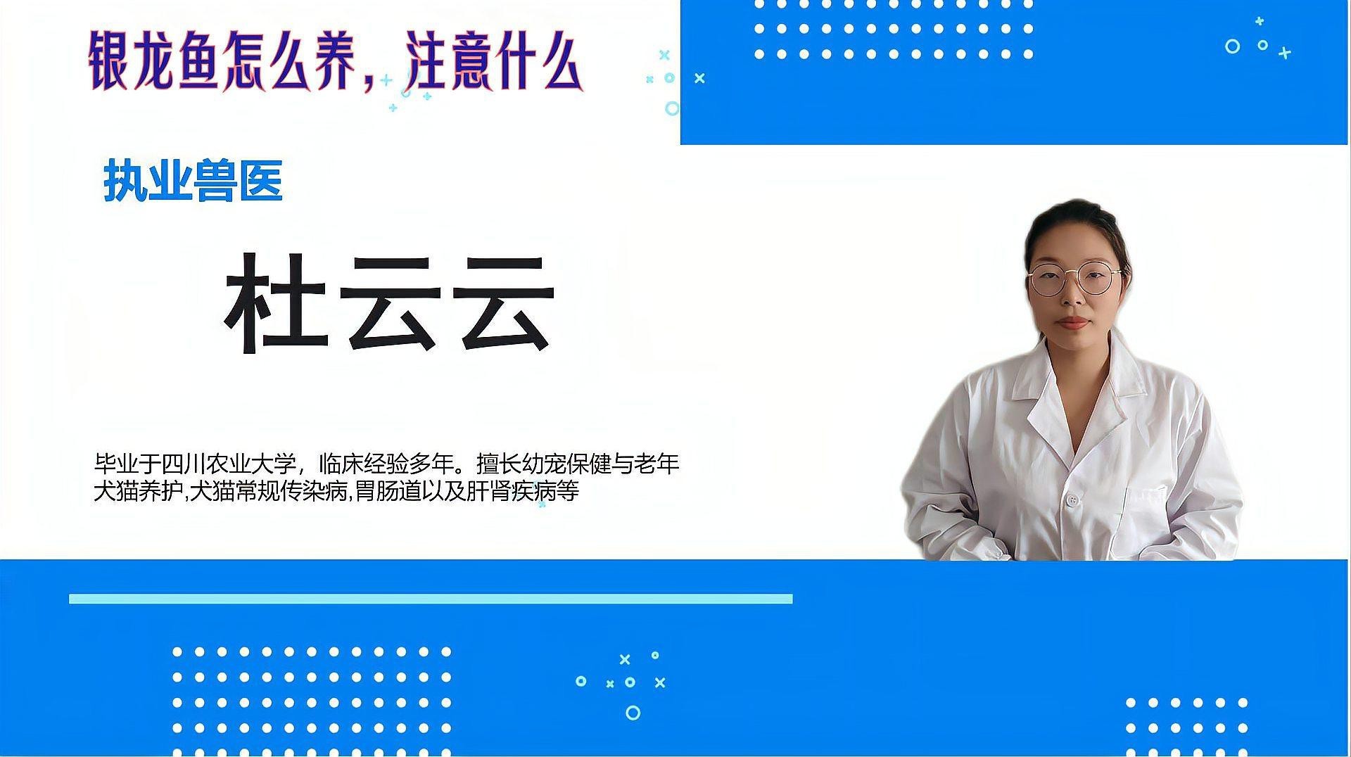 家里養(yǎng)銀龍魚好不好養(yǎng) 家里養(yǎng)銀龍魚好不好養(yǎng) 龍魚百科 第11張