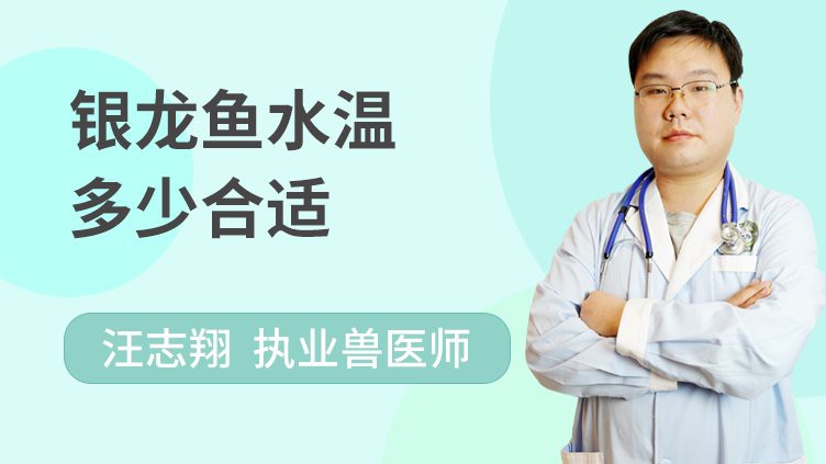 養銀龍魚的最佳溫度是多少