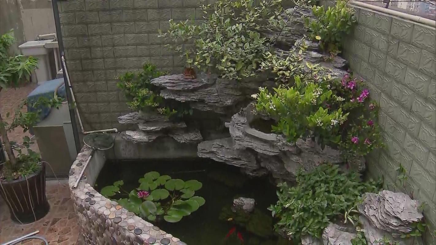 露臺(tái)魚池設(shè)計(jì)實(shí)景圖