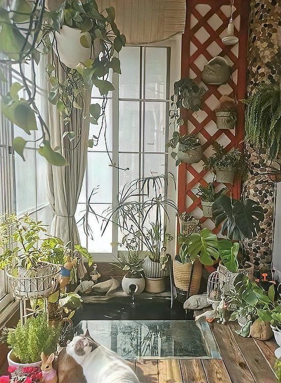 露臺(tái)魚池設(shè)計(jì)實(shí)景圖