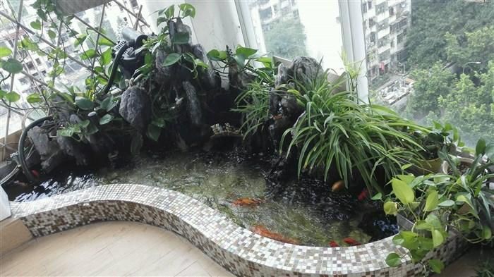 露臺(tái)魚池設(shè)計(jì)實(shí)景圖
