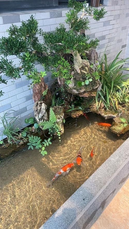 露臺(tái)魚池設(shè)計(jì)實(shí)景圖