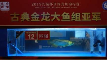 2023長(zhǎng)城杯龍魚(yú)大賽死魚(yú)事件：2023長(zhǎng)城杯龍魚(yú)大賽死魚(yú)事件處理結(jié)果
