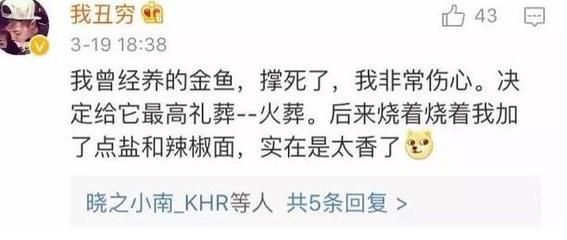 金龍魚吃多了會(huì)不會(huì)撐死：金龍魚吃多了會(huì)被撐死嗎