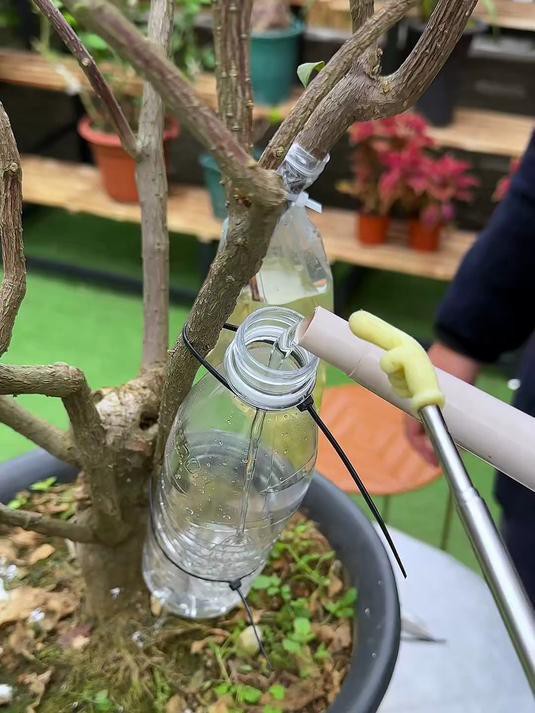 能否提供更詳細的繁殖步驟？