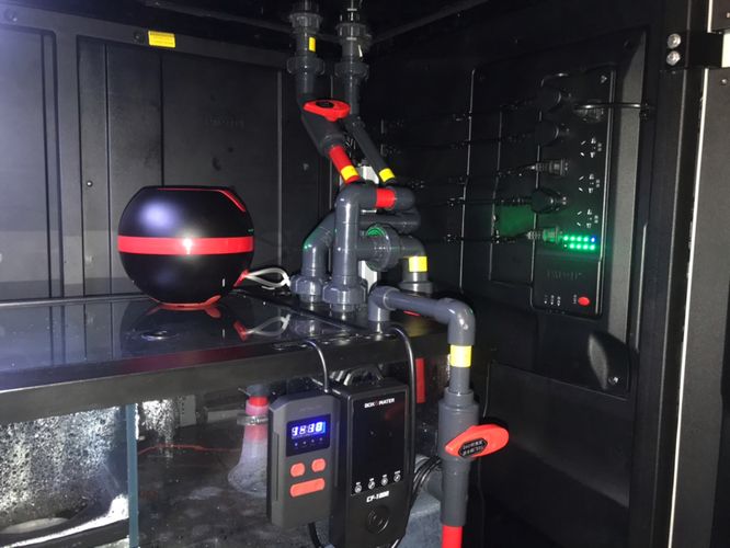 國內龍魚養殖基地排名第一的是哪家（國內有哪些知名的龍魚養殖基地？）