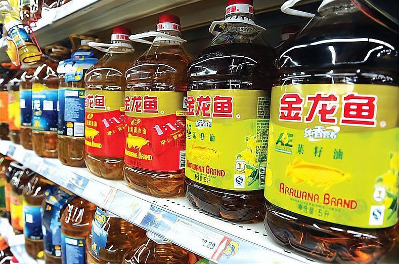 金龍魚是行業(yè)龍頭嗎
