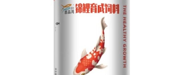 金龍魚為什么剪眼睛會死：金龍魚為什么剪眼睛，揭秘背后的養殖秘密