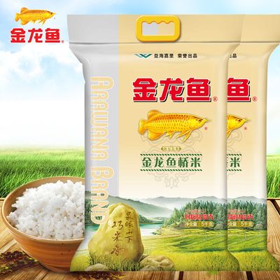 銀龍魚大口呼吸（銀龍魚為什么會大口呼吸？）