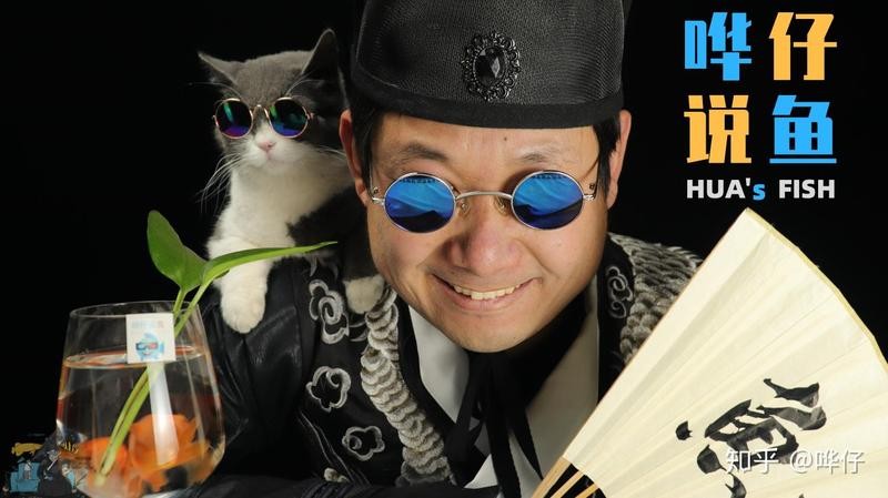 龍魚吃顆粒飼料嗎會死嗎