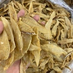 小金龍魚膠產地（金龍魚膠產地有哪些？）