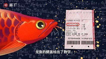 賣龍魚取一個店名字好嗎（賣龍魚取店名有必要嗎？）