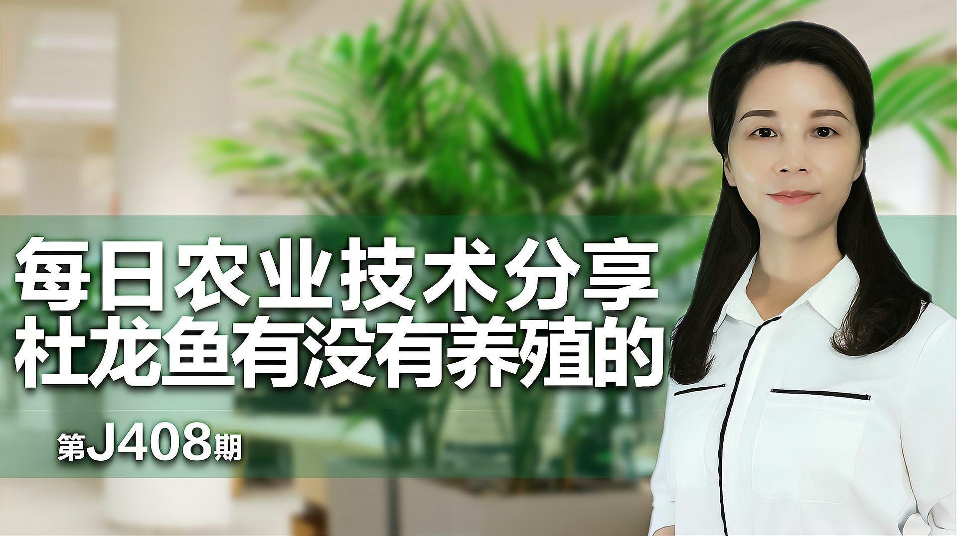 潮汕杜龍魚能養(yǎng)殖嗎有毒嗎視頻 潮汕杜龍魚能養(yǎng)殖嗎有毒嗎視頻 龍魚百科 第1張