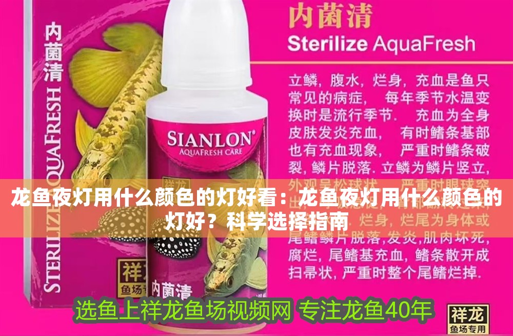 龍魚夜燈用什么顏色的燈好看:龍魚夜燈用什么顏色的燈好?科學(xué)選擇指南 龍魚百科 第1張 龍魚夜燈用什么顏色的燈好看:龍魚夜燈用什么顏色的燈好?科學(xué)選擇指南 龍魚夜燈用什么顏色的燈好看:龍魚夜燈用什么顏色的燈好?科學(xué)選擇指南 龍魚百科 第1張