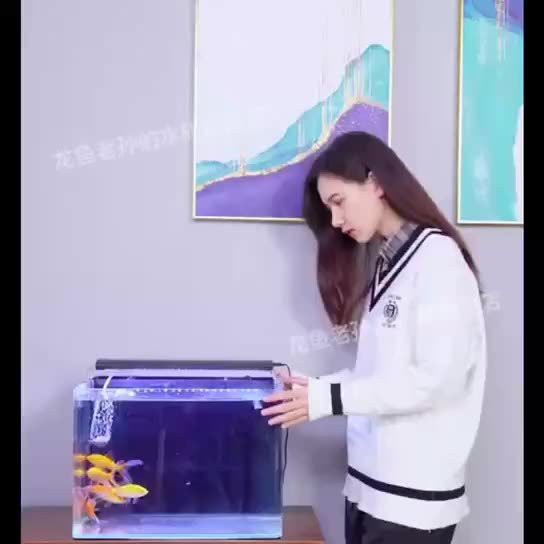 如何判斷龍魚的生長狀況