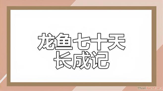 如何判斷龍魚的生長狀況