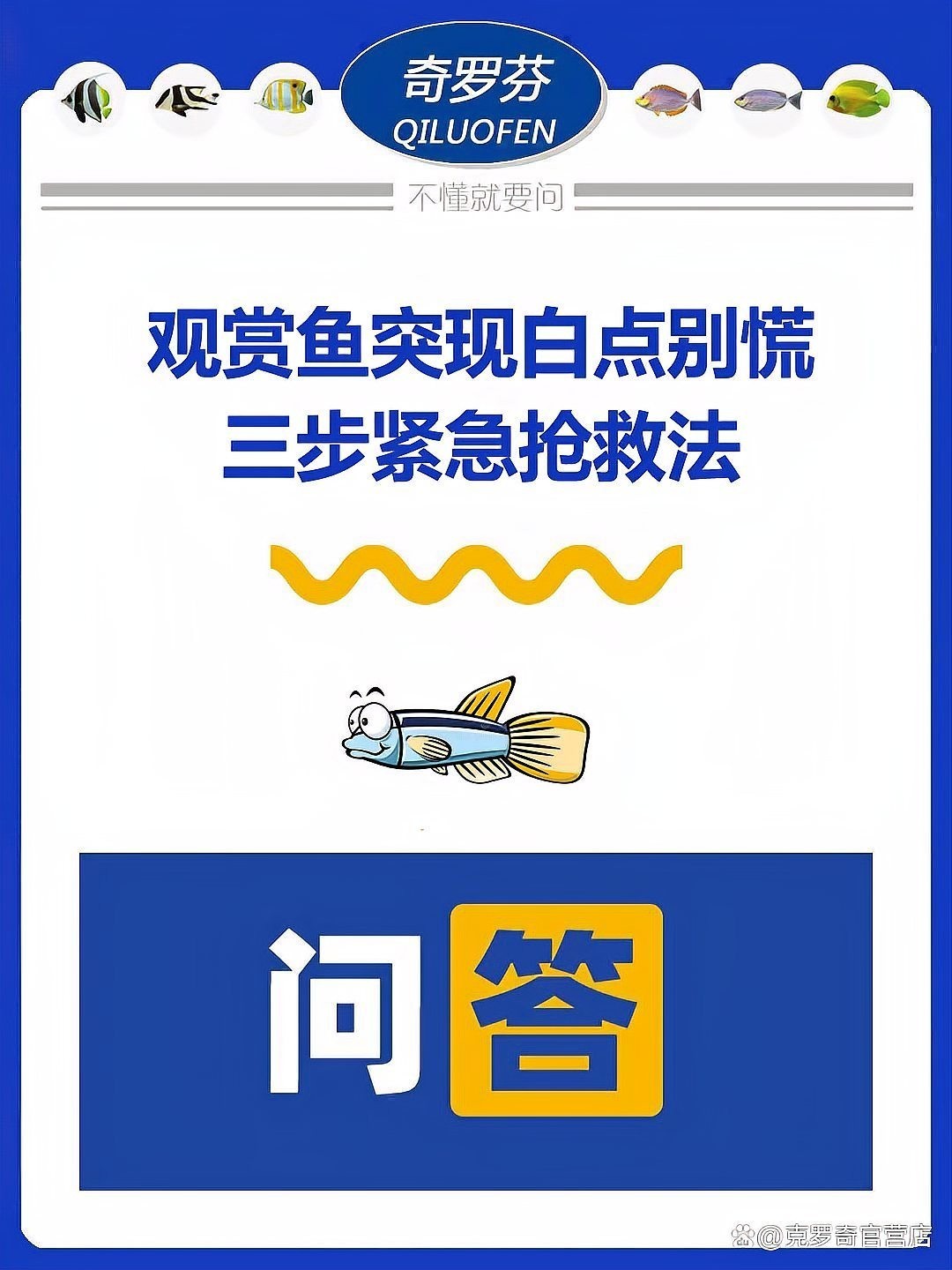 龍魚眼白點病多久會死