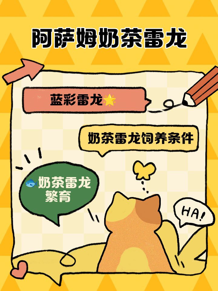 奶茶雷龍魚的市場價格是多少