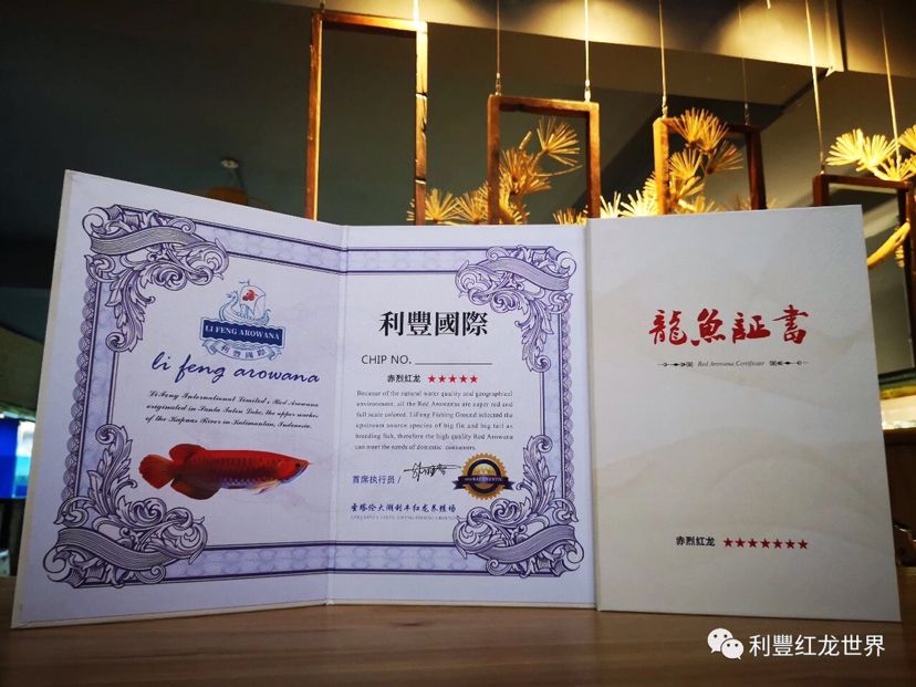 龍魚證書號碼查詢官網：如何查詢龍魚證書號碼