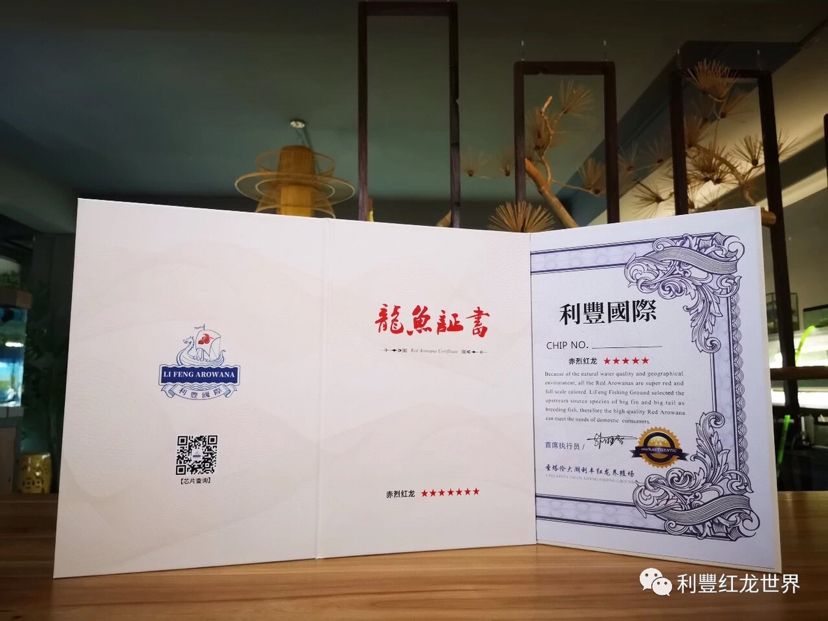 龍魚證書號碼查詢官網：如何查詢龍魚證書號碼