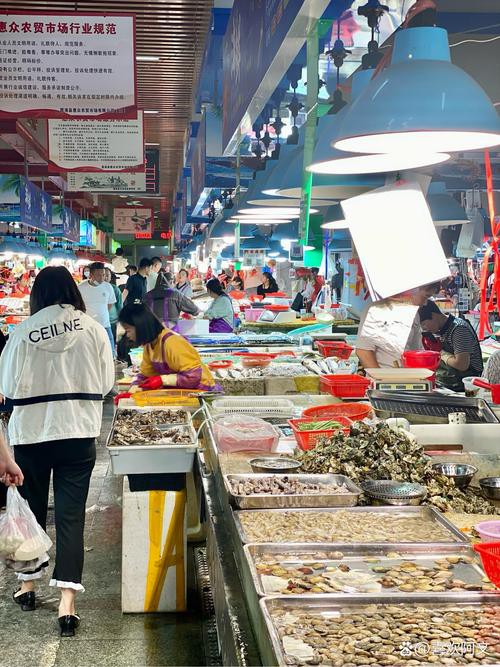 廣州哪里是批發龍魚的地方啊圖片