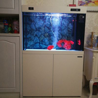 可麗愛魚缸售后電話地址，可麗愛魚缸用戶評價匯總可麗愛魚缸用戶評價匯總