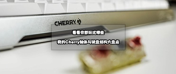 紅龍磁軸與Cherry軸有何區別 紅龍磁軸與Cherry軸有何區別 龍魚百科 第6張